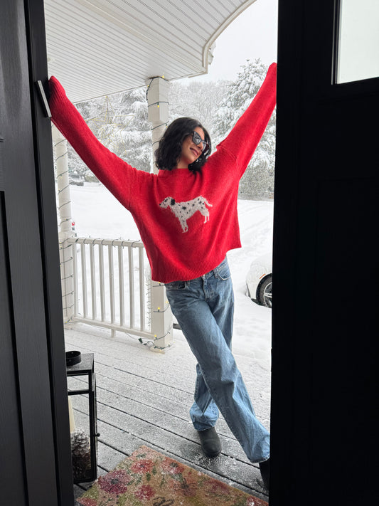 pongo dalmatian sweater